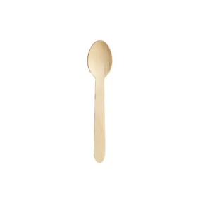 Disposable Spoon 1x100