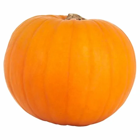 Pumpkin x1